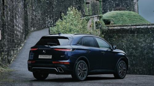DS7 b