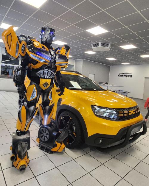 Dacia Duster carpoint