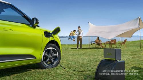 Dongfeng Nammi 01 EV 8