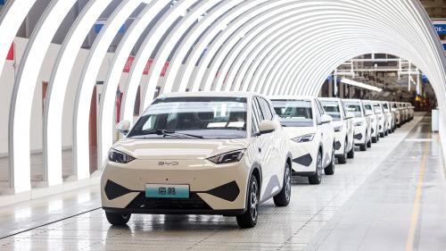 BYD Dolphin Surf