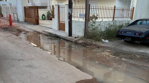 Γέρακας νερό
