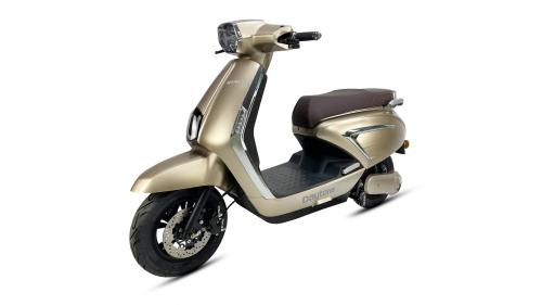 Dyneta 50