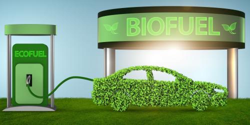 E20 Fuel 2