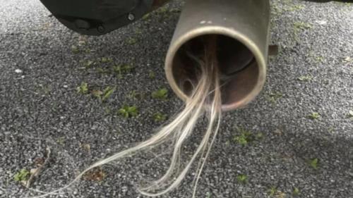 Exhaust pipe hair 1