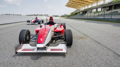 F1 driver 5