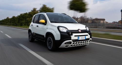FIAT Pandina 2024 4
