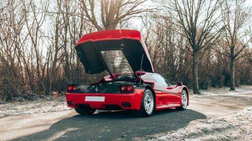 Ferrari F50 Schumacher 3