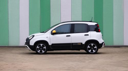  FIAT Pandina