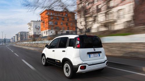FIAT PANDA 1