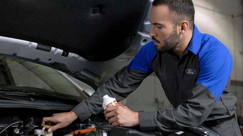 Ford Service 3