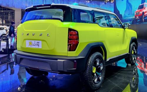 Haval X Dog