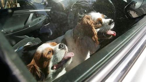 How to break a car window 3
