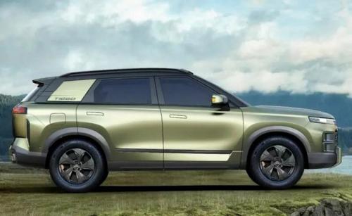 Land Cruiser China b