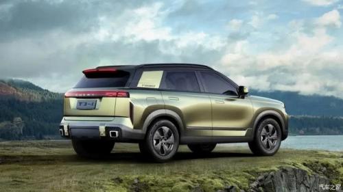 Land Cruiser China c