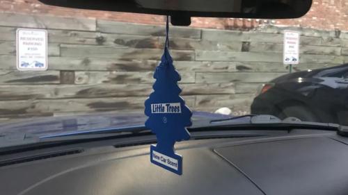 Little tree car mirror 1