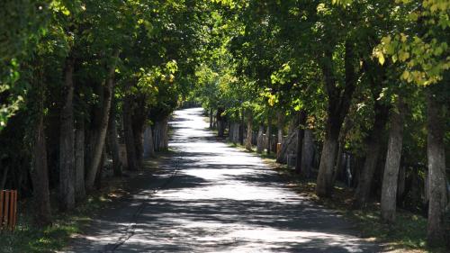 Love road 3