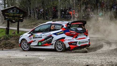 MATTEO FONTANA WRC