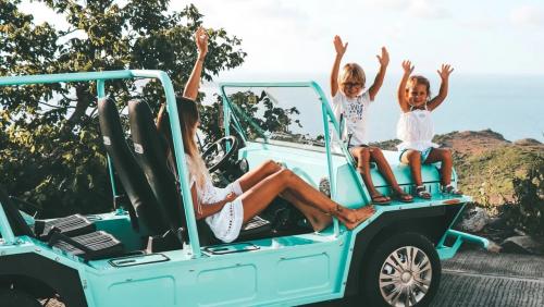 MINI Moke 3