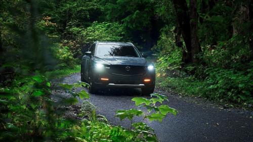 To CX-50