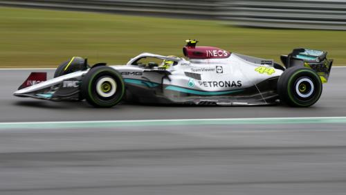Mercedes-TeamViewer