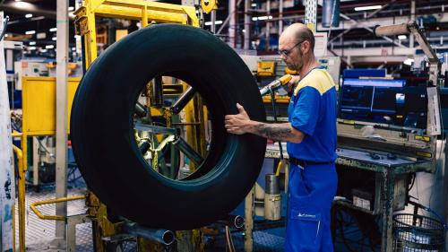 Michelin plant 4