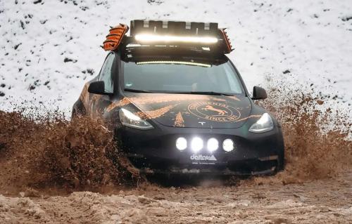 Model Y b