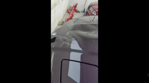 Moose vs BMW 4