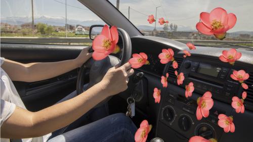 New car smell 4