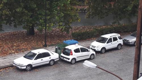 Παρκάρισμα σε κάδο