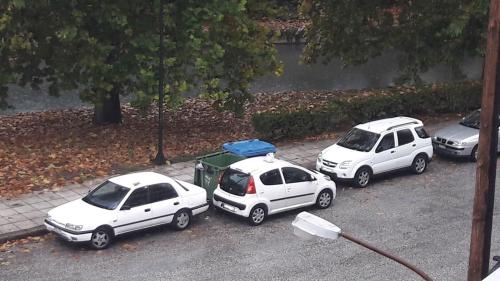 παρκάρισμα μπροστά από κάδο απορριμμάτων
