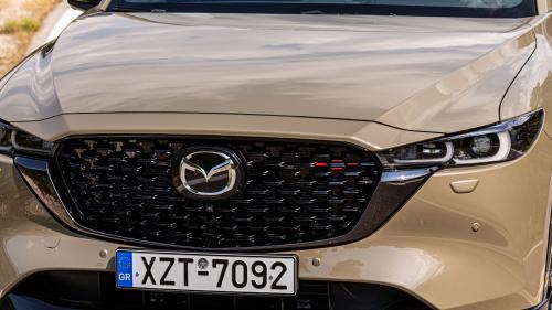 Pinakidas kikloforias 4