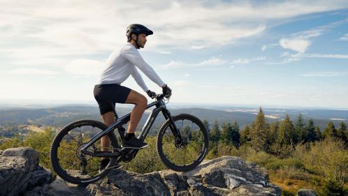 Porsche eBike CROSS