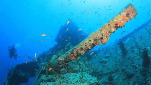 SS Thistlegorm 5