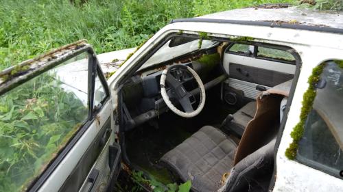 Starting Fiat Panda After 17 Years 3
