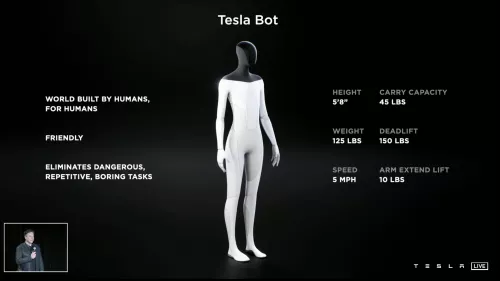 Tesla Bot