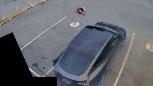 tesla fotia