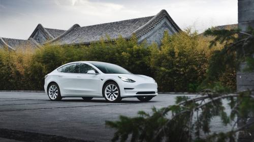 Tesla-employees-china-1