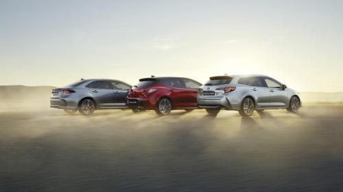 Toyota Corolla Family