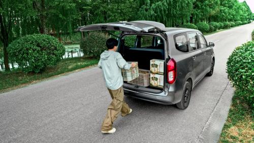 Wuling Hongguang EREV 8