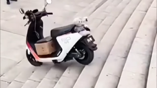 Σκούτερ αυτόνομο