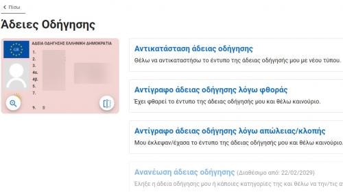 adeia odigisis antikatastasi fthora