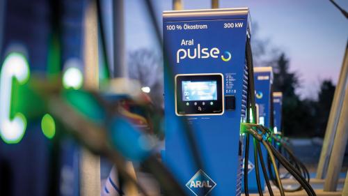 aral pulse