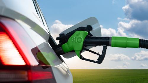 βιοντίζελ