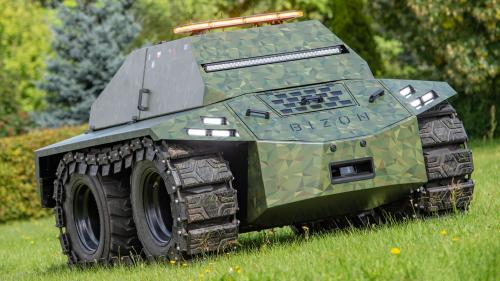 Bizon
