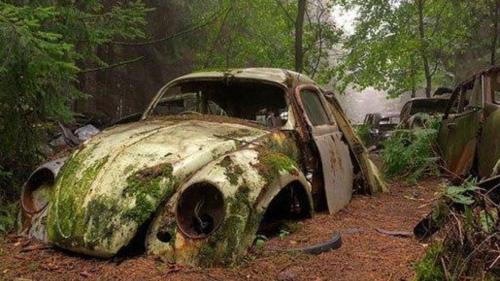 στοιχειωμένο μποτιλιάρισμα στο δάσος