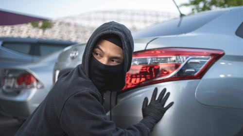 car-thief-honda-1