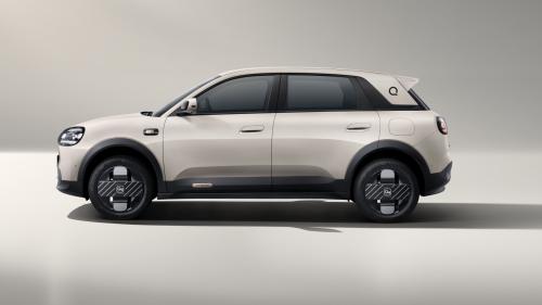 Chery Q