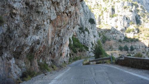 Κυπαρίσσι Λακωνίας