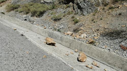 δρομος εφιάλτης εύβοια, πετάλη βύθουρη