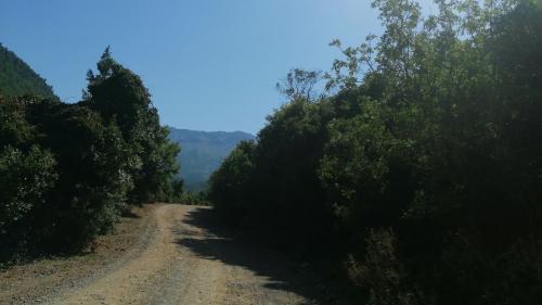 δρομος εφιάλτης εύβοια, πετάλη βύθουρη